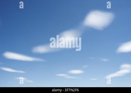 Delicate cloud formations against a clear blue sky convey a sense of tranquillity, lenticular clouds (Altocumulus Lenticularis), Republic of Moldova, Stock Photo