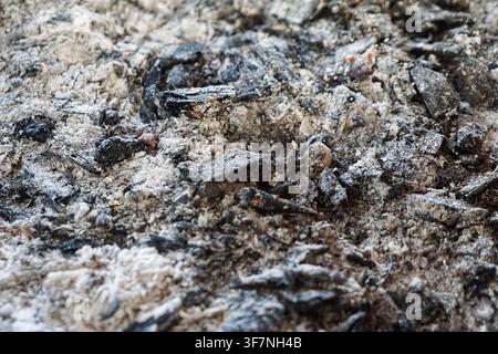 Close up of burnt charcoal and ash showing rough texture and natural pattern. Stock Photo