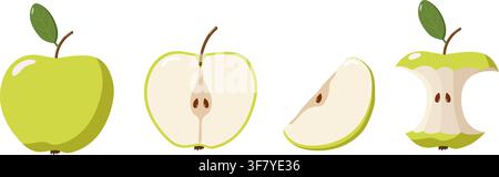 Four green apple illustrations showing stages from whole fruit to halved, sliced, and eaten core, highlighting anatomy Stock Vector