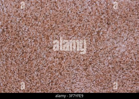 beige carpet for the bedroom Stock Photo