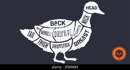 Duck, poultry, hand-drawn butcher cuts Stock Vector