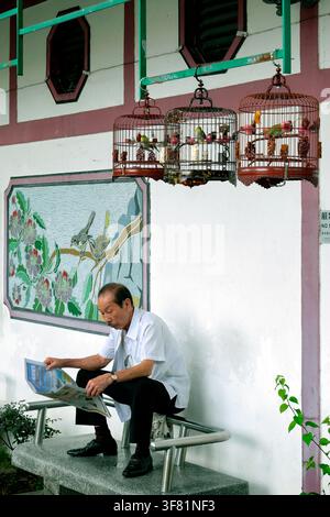 Hong Kong bird market / Yuen Po Street Bird Garden, Mong Kok, Kowloon, Hong Kong, China, Asia Stock Photo