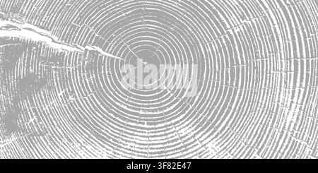 Tree ring pattern showcasing natural wooden texture vector illustration background. Stock Vector