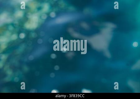 Soft focus image showing blue and green hues resembling ocean water with light reflections. Stock Photo