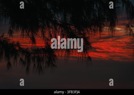 Dramatic red sunset behind silhouetted tree branches over calm water, creating a dark. Indonesia Stock Photo