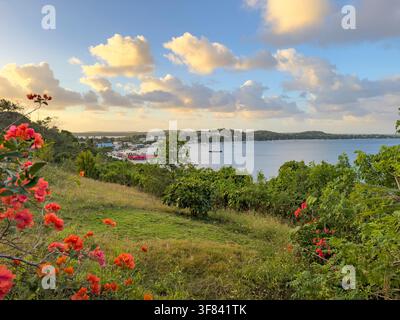 Views of Vavau Island harbor in Tonga with boats and colorful flowers during sunset Stock Photo