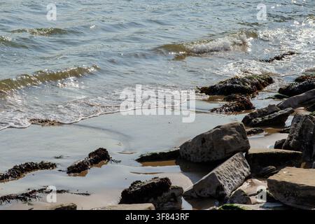 Closeup of rocks and seaweed on the seashore Stock Photo