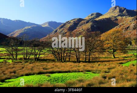 View of Langdale valley with mountains in Lake District during sunny day in England Stock Photo
