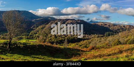 View from Tarn Hows area with hills and clouds over Wetherlam in the Lake District, UK during day Stock Photo
