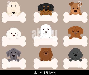 Set of flat colored cute and simple dogs (Afghan Hound, Rottweiler, Welsh Terrier, Great Pyrenees, Poodle, French Mastiff, Great Dane, Chow Chow, Newf Stock Vector