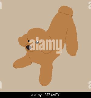 Simple and cute playful brown Poodle illustration flat colored Stock Vector