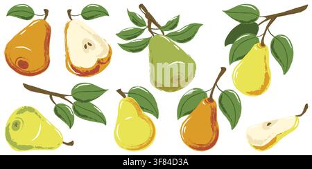 Vector watercolor pear fruit set. Hand drawn vintage illustration with whole pears, slices, green leaves and natural botanical elements isolated on wh Stock Vector