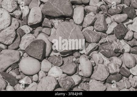 Monochrome full frame background texture of smooth rounded river pebbles and grey stones gathered on riverbed or beach for natural abstract design con Stock Photo