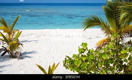 A bright, sunny view of a tropical beach featuring pristine white sand in the foreground and clear turquoise water extending to a deep blue horizon un Stock Photo