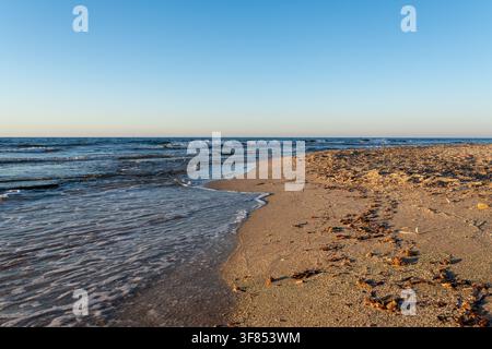 Rippling sea water touches sandy beach shore during sunny day. Coastal landscape with small ocean waves, clear sky on horizon line, and shell fragment Stock Photo