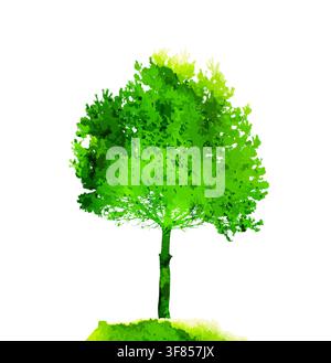 Green watercolor tree. Hello Spring. Vector illustration Stock Vector