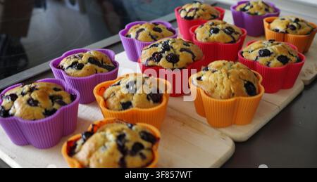 Twelve freshly baked blueberry muffins are arranged on a wooden cutting board. Each muffin is in a colorful silicone mold, with hues of purple, red, a Stock Photo