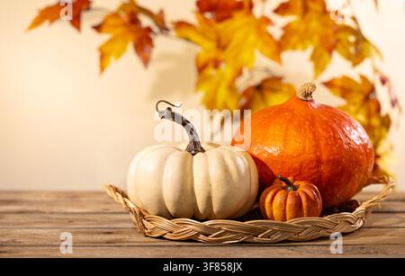 White and orange pumpkins in wicker tray on wooden table for rustic Thanksgiving harvest product display Stock Photo