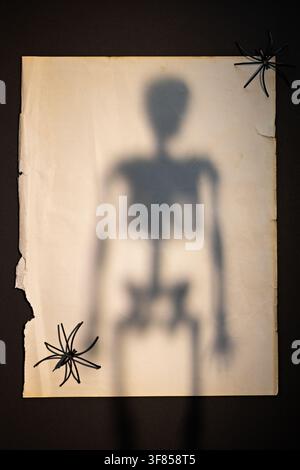 Skeleton shadow on vintage torn paper with spiders for Halloween poster invitation or horror design Stock Photo
