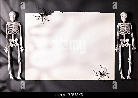 Blank torn vintage paper between skeletons and spiders with soft shadow for Halloween invitation or advertising mockup Stock Photo