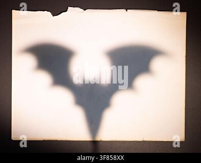 Large bat shadow on vintage torn paper for Halloween poster spooky banner or vampire invitation Stock Photo