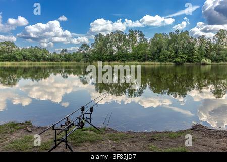 Two carp fishing rods rest on a rod pod near a lake shore. Calm water reflects clouds and surrounding trees. Muddy ground and dense vegetation. Stock Photo