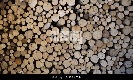 Close-up of tightly stacked cut logs forming a natural wood texture, with varied sizes, grain patterns, cracks, and earthy tones creating a repetitive Stock Photo