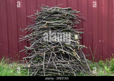 Pile of branches stacked, in outdoor near red wall, with branches, red wall, grass, from a side view perspective, with green, brown accents Stock Photo