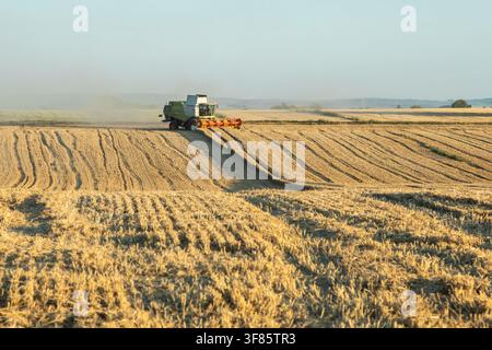 Distant combine harvester working across striped wheat fields during harvest in open countryside Stock Photo