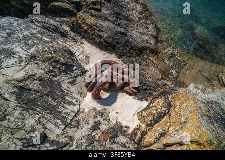 Rusty metal mooring rings embedded in rock on the River Fowey in Cornwall on a bright, sunny summer's day with clear blue water nearby. Cornwall. Stock Photo