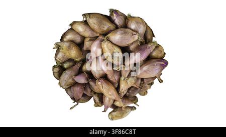 Shallots in a pile as an isolated png for food recipes and cooking Stock Photo