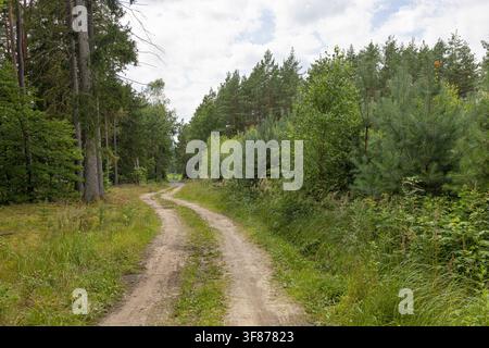 Scenic gravel dirt road winding through a lush green forest under a cloudy dramatic summer sky leading towards a mysterious countryside wilderness tra Stock Photo