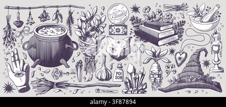 Witchcraft apothecary collection of potion bottle and herbs. Vector sketch illustration of vintage witch hat, flowers, crystals, cauldron and cat, hand with eye, engraved magic items, Halloween poster Stock Vector