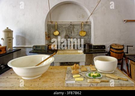 A beautifully preserved historic dairy room featuring large ceramic bowls, butter pats, and a marble slab at Lanhydrock House in Cornwall, photographe Stock Photo