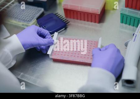 An unidentified researcher pipetting samples in a microplate at the UCL Cancer Institute in London, England, on 20 September 2016. Stock Photo