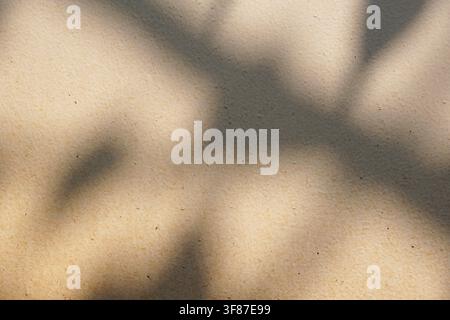 Soft organic shadows cast on a warm beige plaster surface, creating a calm minimalist aesthetic for design backgrounds. Stock Photo