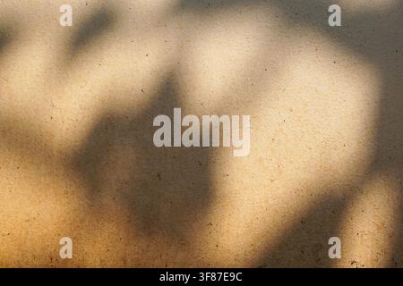 Minimalist composition showing blurred natural leaf shadows cast on a grainy beige wall surface, ideal for design backgrounds and copy space. Stock Photo