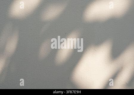 Soft dappled light and tree leaf shadows cast on a neutral white textured wall. Minimalist background for creative design and copy space. Stock Photo