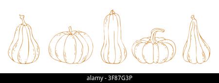 Hand drawn autumn pumpkins in line art style. Doodle illustration Stock Vector