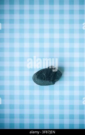 Single dark stone centered on a pale blue checked background, photographed from above with minimalist copy space Stock Photo