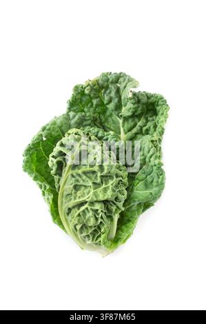 Top view of whole Brassica oleracea var. sabauda on white background. Stock Photo