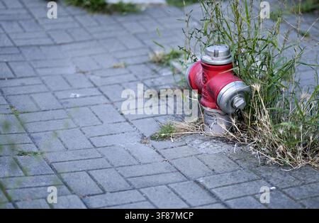 Red fire hydrant standing on a grey paved sidewalk next to overgrown green and dry grass, providing an essential emergency water source for fire fight Stock Photo