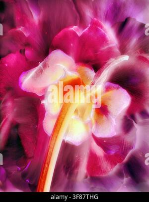 Close up of flower stem and petals in pastel shades of pink. Stock Photo
