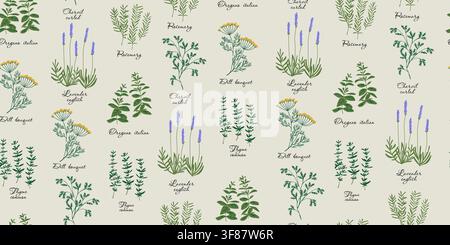 Seamless vintage herbarium pattern featuring hand drawn culinary herbs including dill bouquet, Italian oregano, curled chervil, English lavender, rosemary and common thyme with handwritten botanical labels on an aged parchment background. Inspired by antique scientific illustrations, perfect for fabric, wallpaper, wrapping paper and stationery. hand drawn vector file. Stock Vector