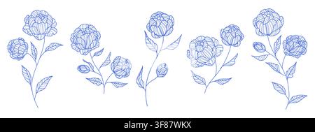 Blue Peony Floral Line Art Collection Stock Vector