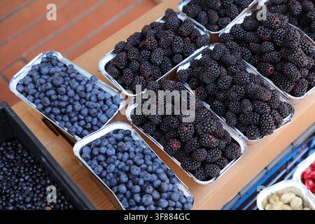 Tirana New Bazaar (Pazari i Ri) in Albania. Fresh blueberries and blackberries in summer season, sold in aluminum bowls. Stock Photo