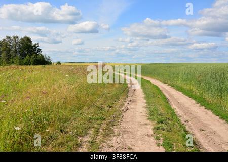 Dirt Road Winding Through Green Fields Under a Blue Sky copy space Stock Photo