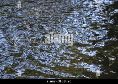 Water flows gently in a natural setting, showing the patterns created by light and movement. The scene captures the beauty of nature and water interac Stock Photo