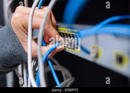 Close-up of a technician's hands organizing and plugging blue and grey ethernet network cables into a network switch. Stock Photo