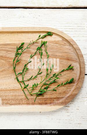Polygonum arenastrum, commonly known as equal-leaved knotgrass or common knotweed. Herbal plant branches on wood board background. Stock Photo